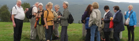 Wanderung "Über den Modenhübel / Nationalpark Eifel"